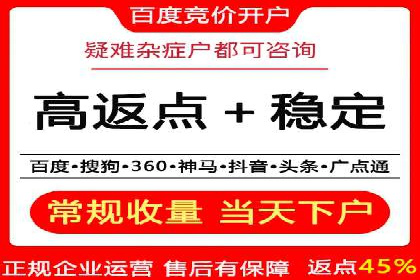 SEM代运营案例分析：精准投放策略解析